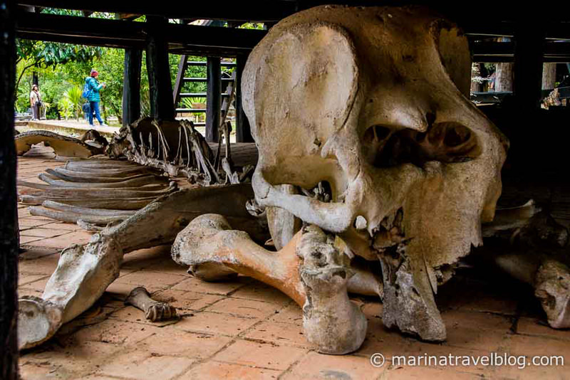 Музей Бандаам - Черный Храм Чианг Рая (Chiang Rai Black Temple - Bandaam Museum))