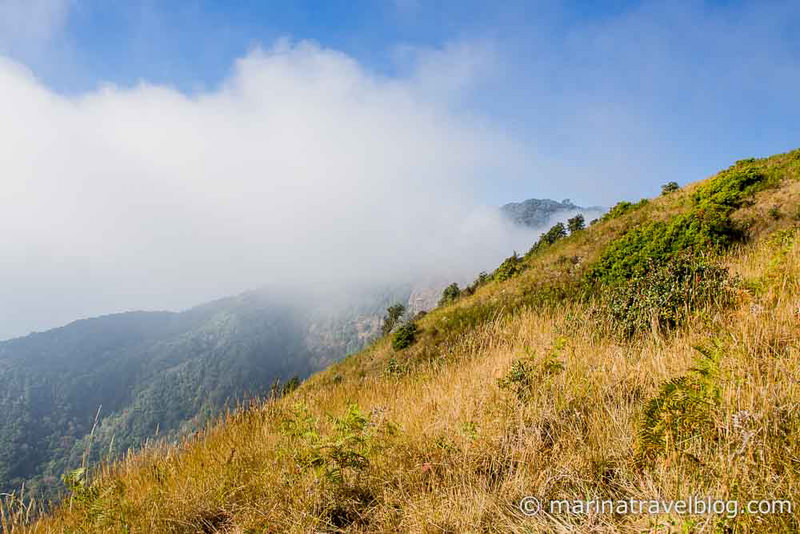 Таиланд. Национальный парк Дой Интанон (Doi Inthanon)
