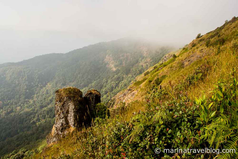 Таиланд. Национальный парк Дой Интанон (Doi Inthanon)