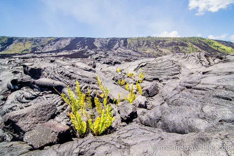 Hawaii Big Island Volcano-31