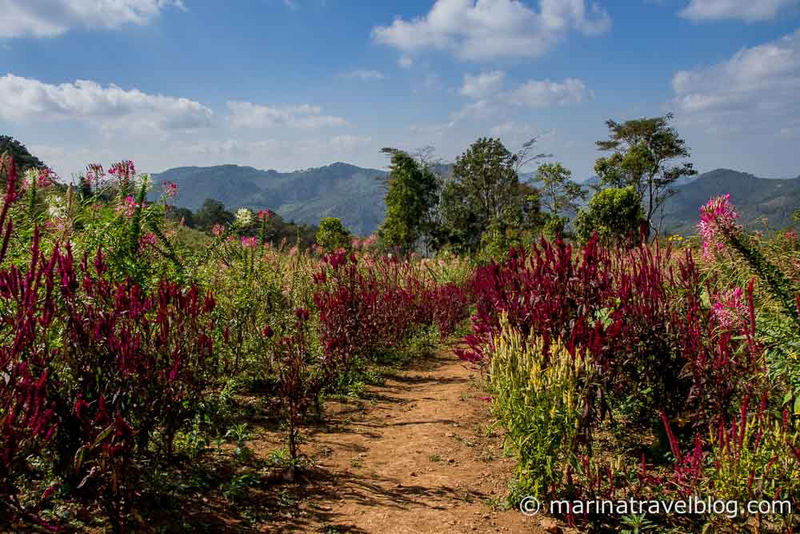 Mae Hong Son Loop