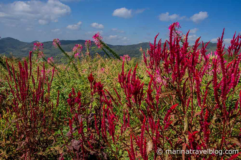 Mae Hong Son Loop