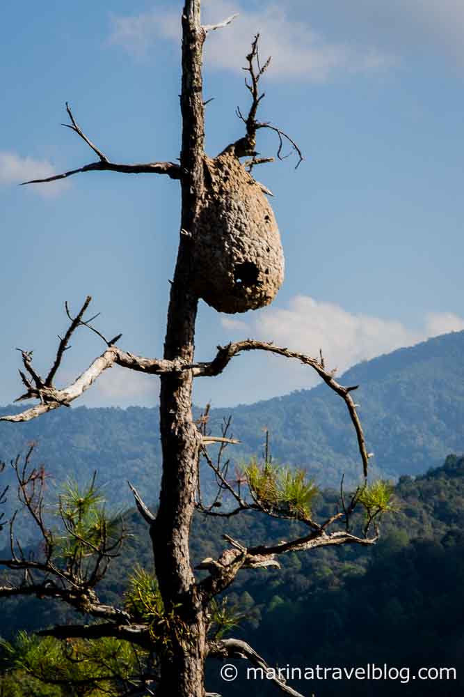 Mae Hong Son Loop