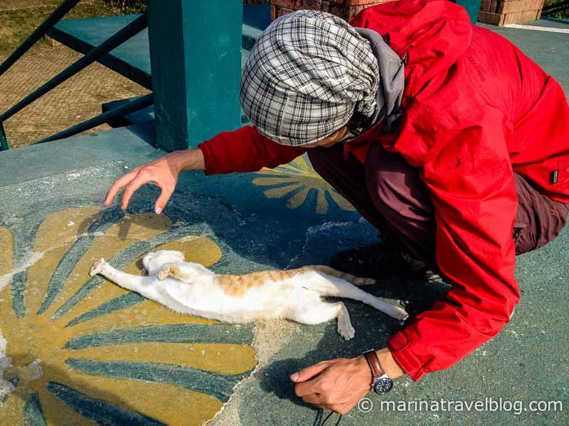 Котэ