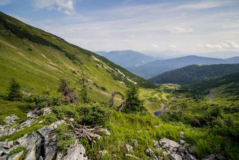 Негровець