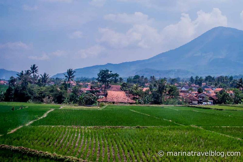 Purwokerto-5