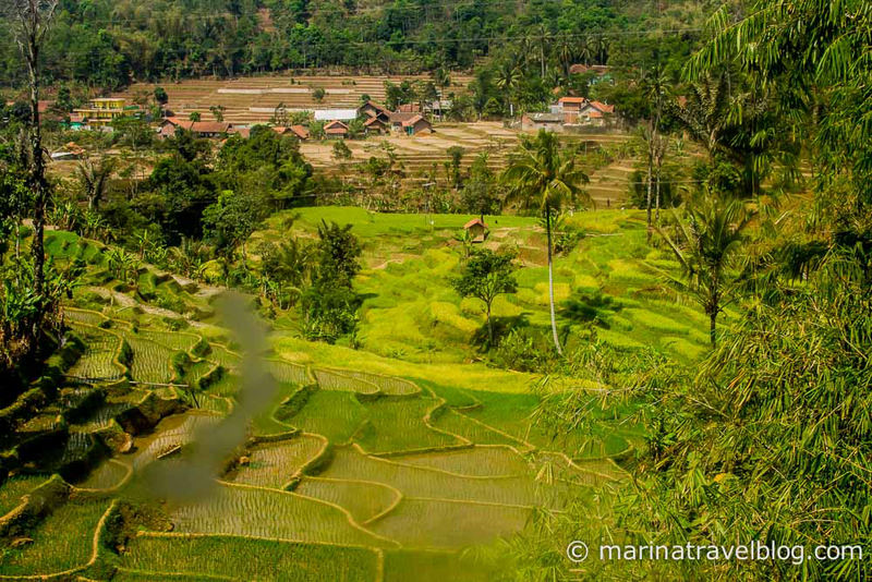 Purwokerto-6