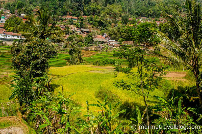 Purwokerto-7