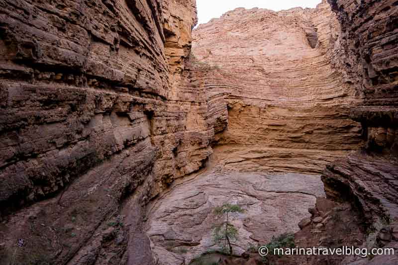 Уникальная природа: кебрада де лас Кончас (Quebrada de las Conchas)