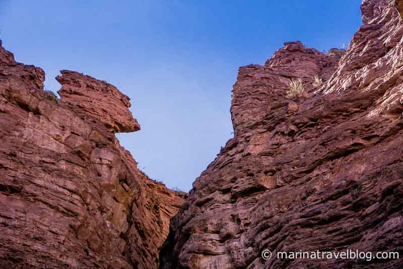 Уникальная природа: кебрада де лас Кончас (Quebrada de las Conchas)