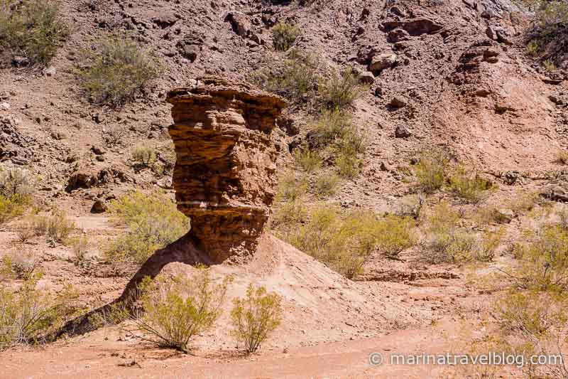 Уникальная природа: кебрада де лас Кончас (Quebrada de las Conchas)