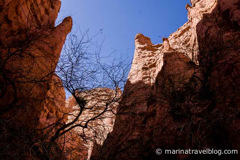 Уникальная природа: кебрада де лас Кончас (Quebrada de las Conchas)
