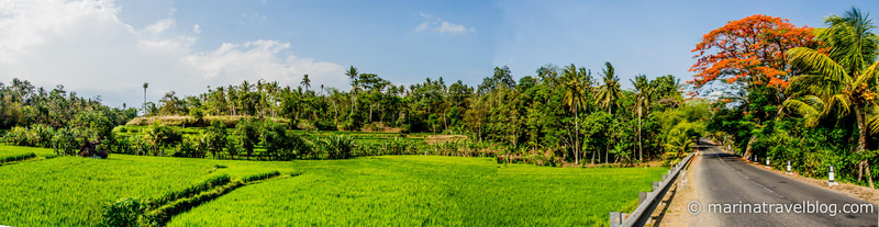 Бали. Храм Таман Аюн (Taman Ayun)