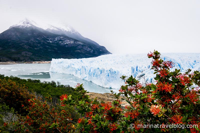 Ледник Перито Морено, Аргентина, Патагония, возле Калафате