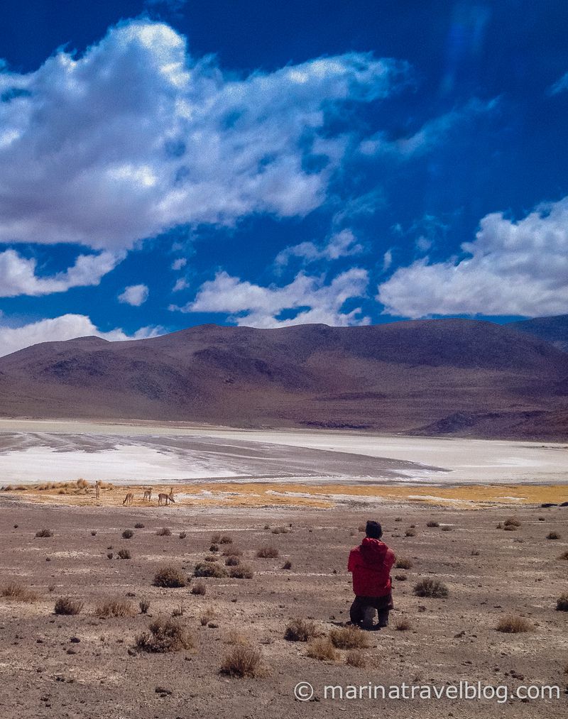 Поездка на джипе по Салар де Уюни и альтиплано Боливия