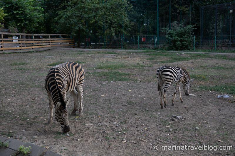 алматы фото