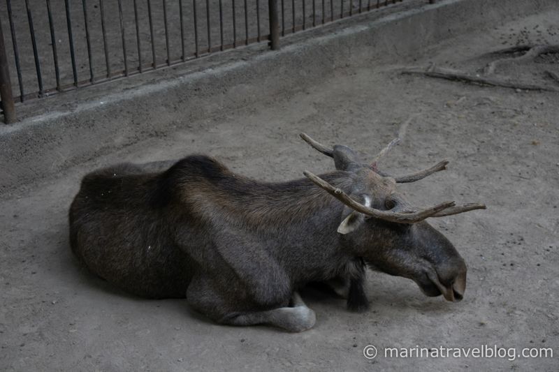 алматы фото