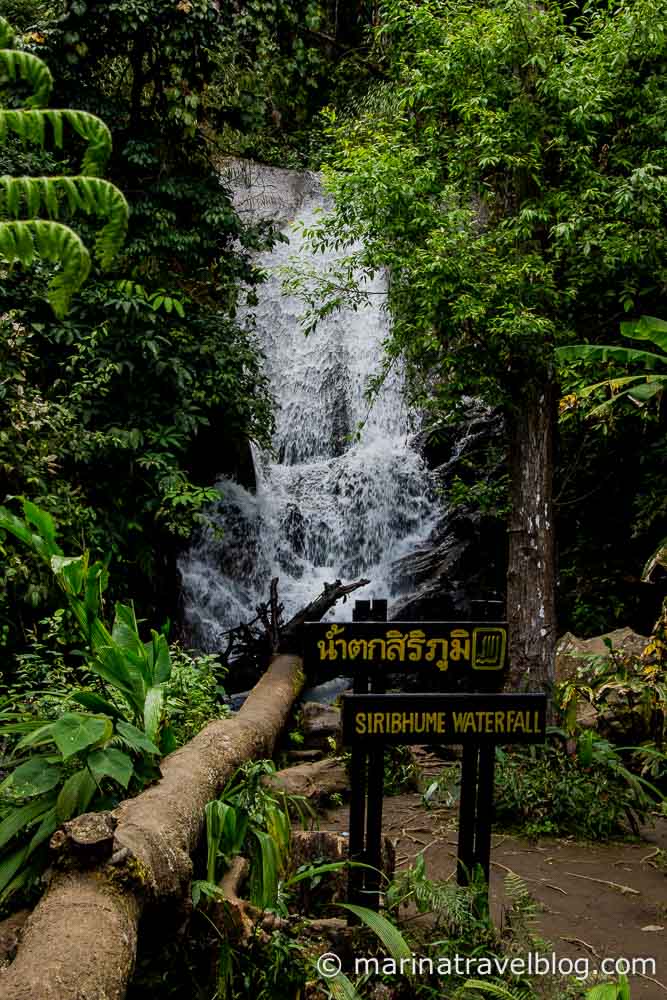Таиланд. Национальный парк Дой Интанон (Doi Inthanon)
