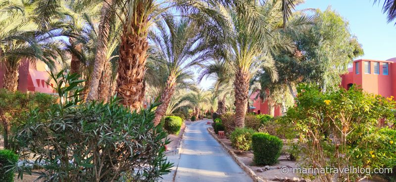 египет шератон эль гуна