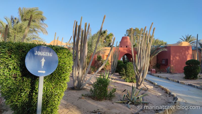 шератон эль гуна фото