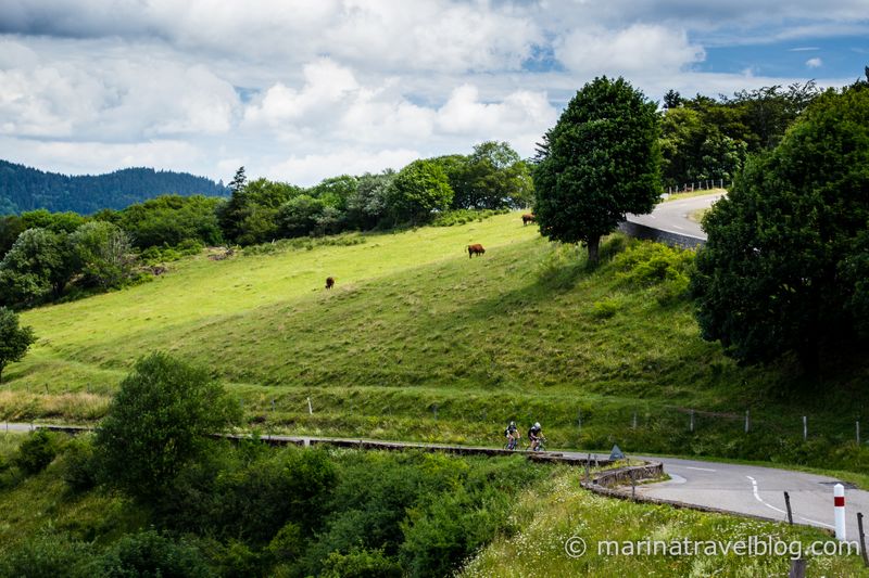 Route des Cretes
