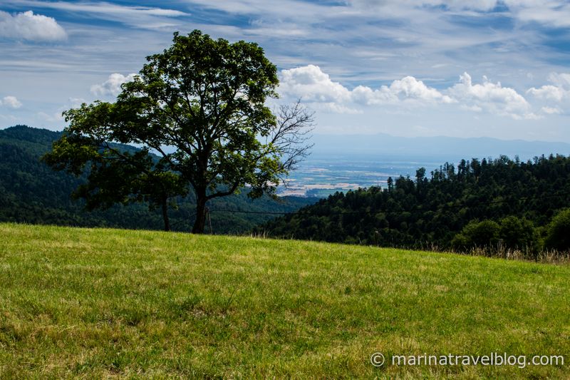 Route des Cretes