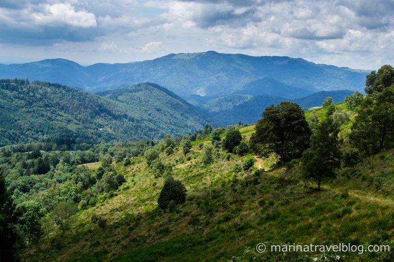 Route des Cretes