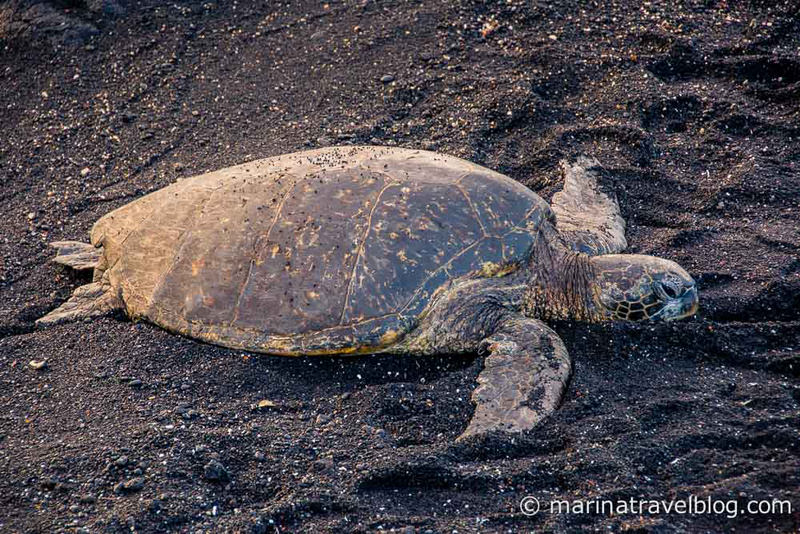 Hawaii Big Island-23