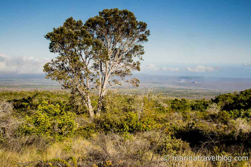 Hawaii Big Island Volcano-43