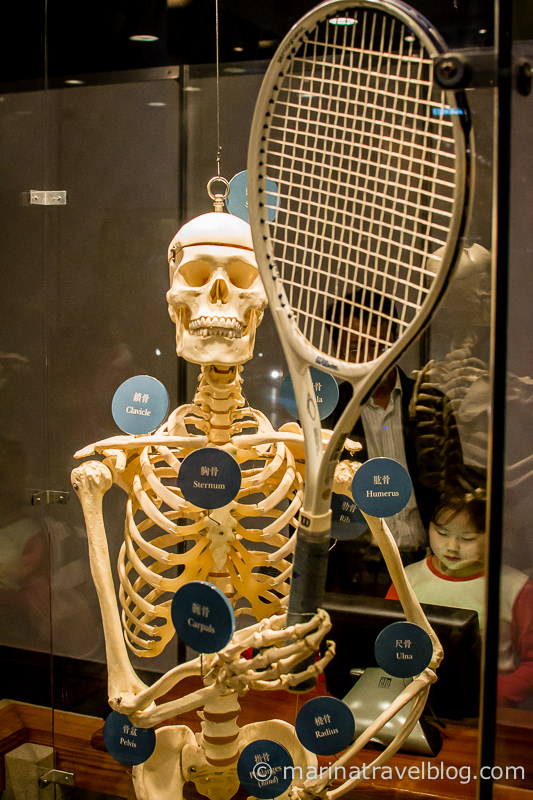 скелет играет в теннис, музей науки в Гонконге, музеи Гонконга