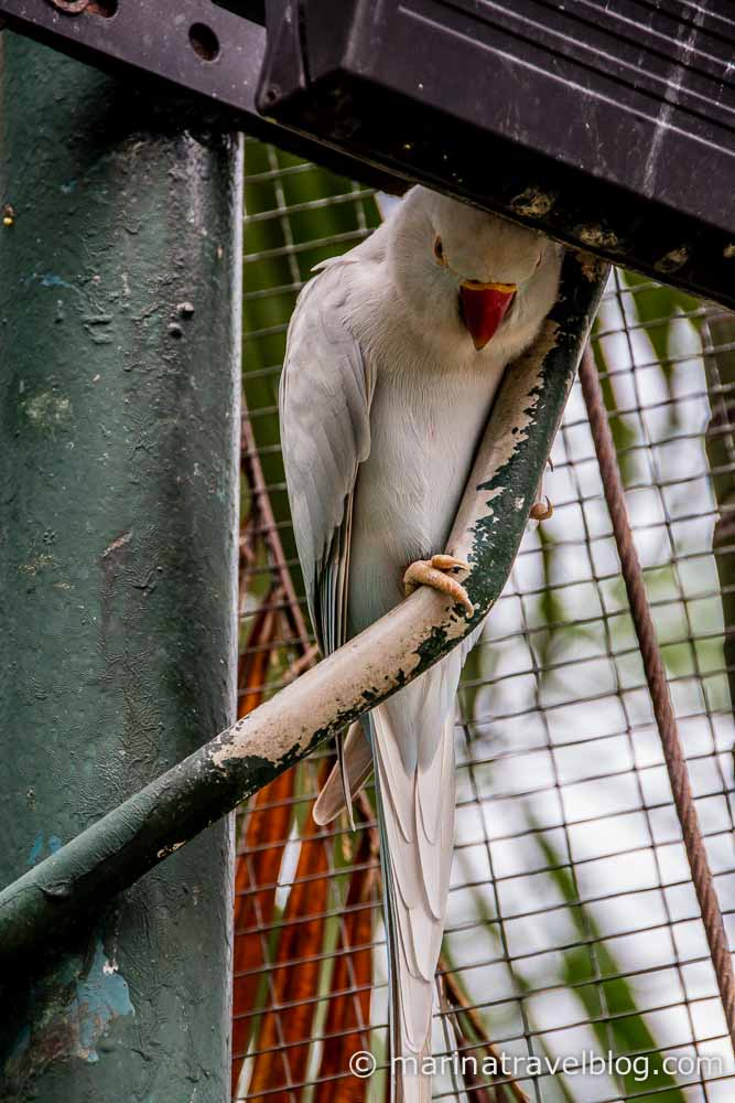 Куала Лумпур парк птиц