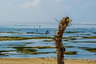 Остров Ломбок пляж