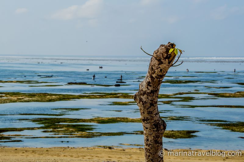 Остров Ломбок пляж