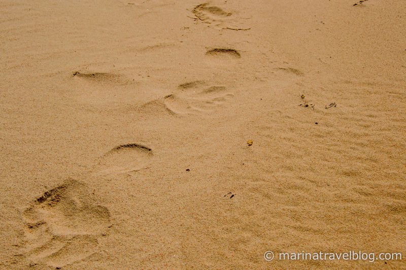 индонезия розовый пляж