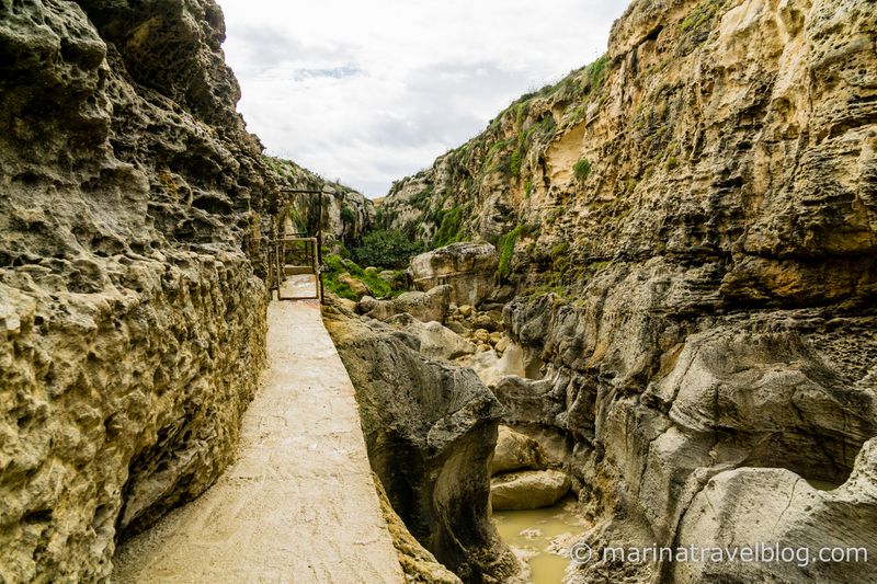 гозо мальта