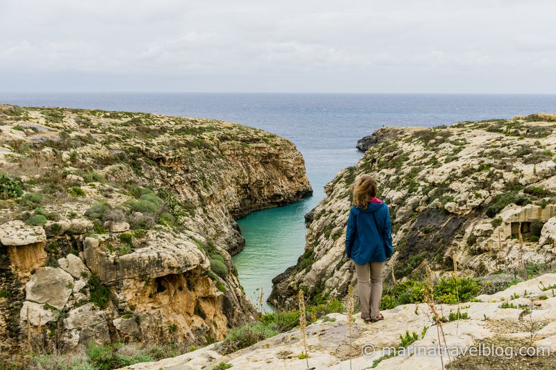 гоцо мальта