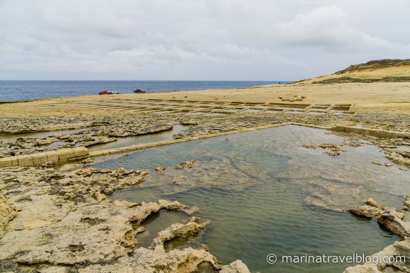 мальта гоцо