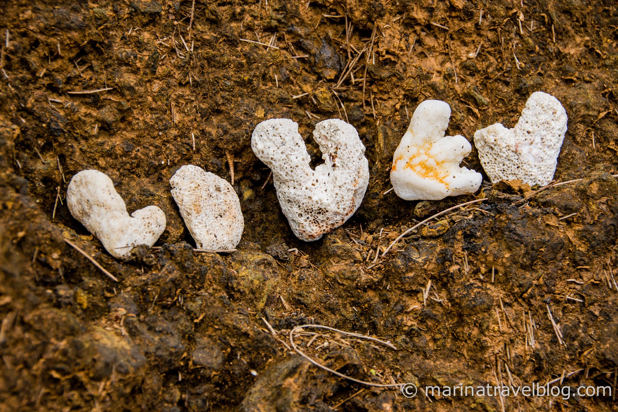 мауи остров фото