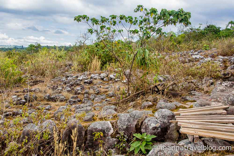 Национальный парк Пху Хин Ронг Кла (Phu Hin Rong Kla)