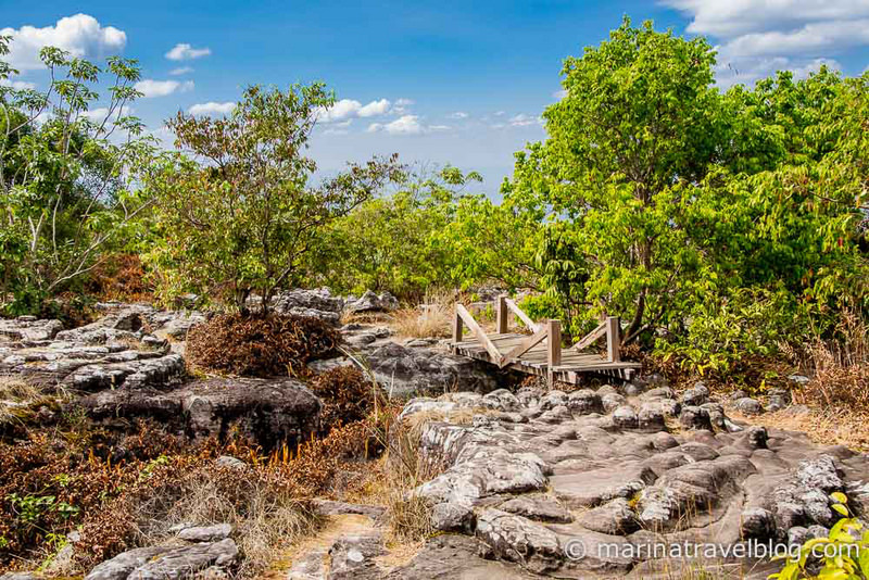 Национальный парк Пху Хин Ронг Кла (Phu Hin Rong Kla)