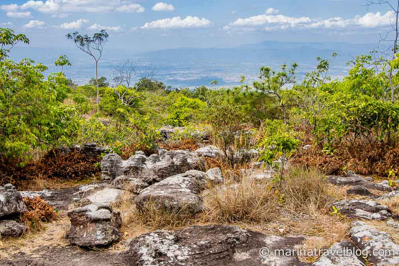 Национальный парк Пху Хин Ронг Кла (Phu Hin Rong Kla)