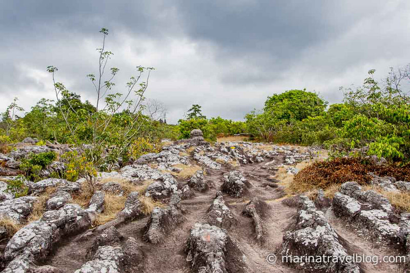 Национальный парк Пху Хин Ронг Кла (Phu Hin Rong Kla)