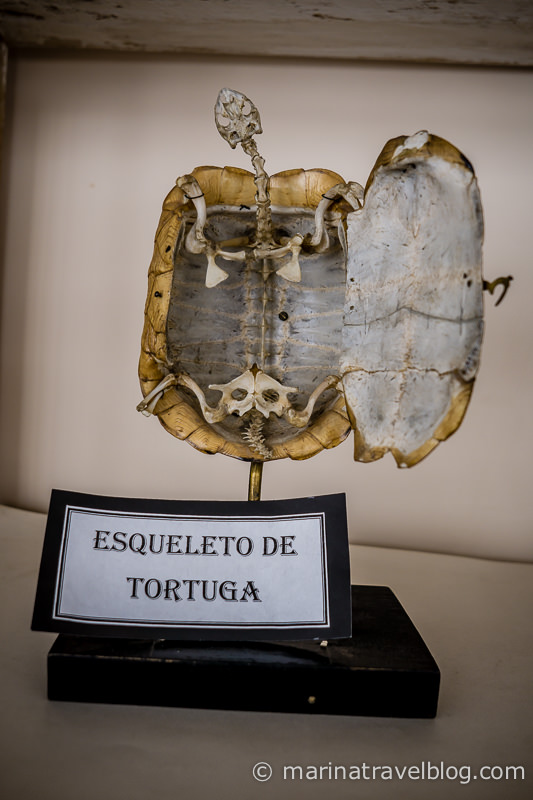 музеи сукре боливия
