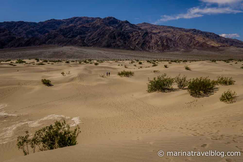 Долина Смерти, песчаные дюны Mesquite