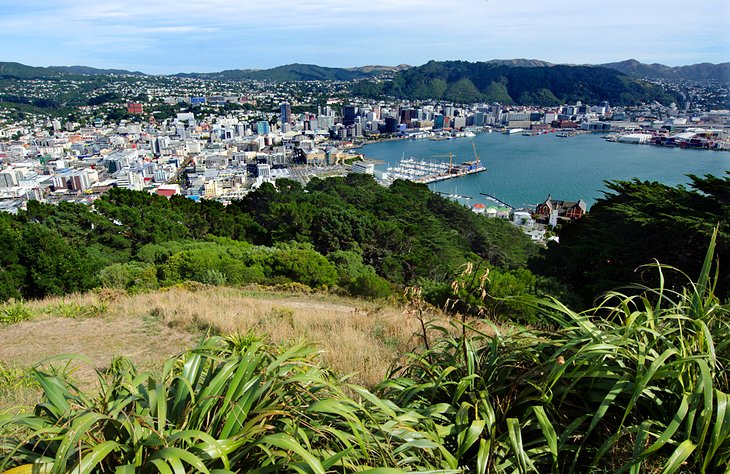 новая зеландия фото городов